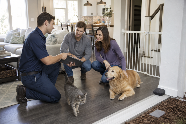 Safe Pest Control for Pets and Children: What Homeowners Should Know