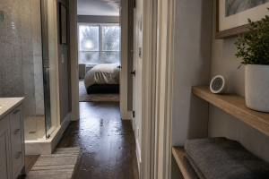 Indoor Humidity and Mold Risk During a Wet El Niño Winter