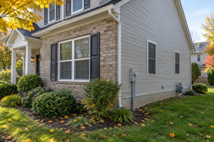 The Fall Shift: Why Bugs Invade Your Home in Autumn
